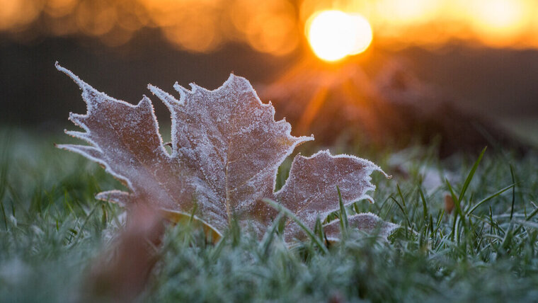 DEUTSCHLAND GEFAHR FÜR PFLANZEN: BODENFROST IN THÜRINGEN ERWARTE