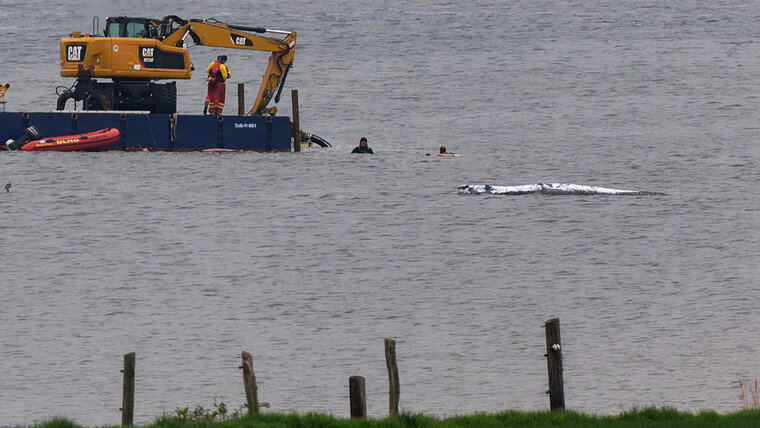 Keystone/dpa/Marcus Golejewski 20260420081736996.jpg