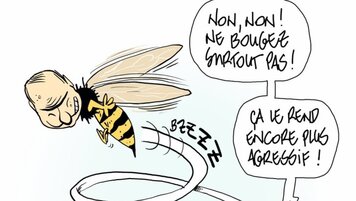 Pitch Comment 20251212095658404.jpg