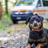 Kantonspolizei St. Gallen 20261015161808339.jpg