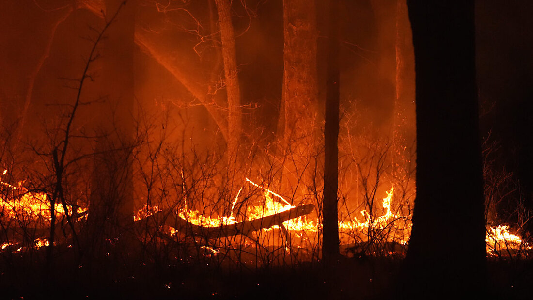 Ein Feuer brennt in der Nähe von Waretown, New Jersey. Foto: Chris Szagola/AP/dpa 20250423113852343.jpg