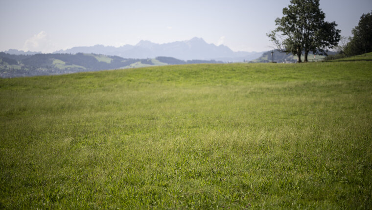 KEYSTONE/GIAN EHRENZELLER 20260218143231512.jpg