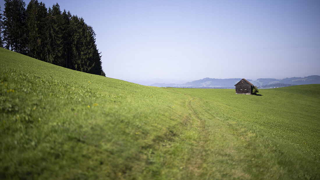 Die Eggersrieter-Höhe gehört zu den Gebieten mit PFAS-belasteten Böden. (Archivbild) 20241112121317009.jpg