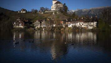 KEYSTONE/GIAN EHRENZELLER 20251212091135765.jpg