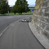 Kantonspolizei St. Gallen 20260904124241464.jpg