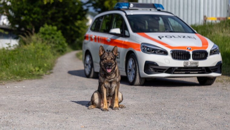 Kantonspolizei St. Gallen 20260331120425181.jpg