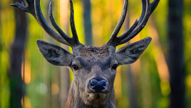 KEYSTONE/DPA/PATRICK PLEUL 20260421082705742.jpg