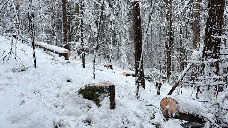 Kantonspolizei Graubünden 20260420151310935.jpg