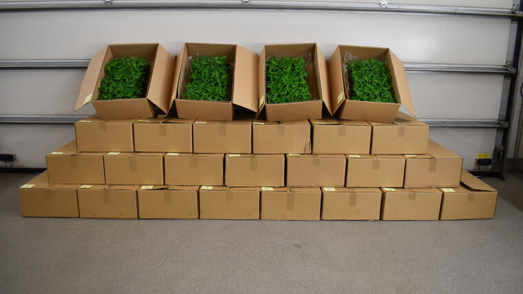 Bundesamt für Zoll und Grenzsicherheit 20260226103638027.jpg