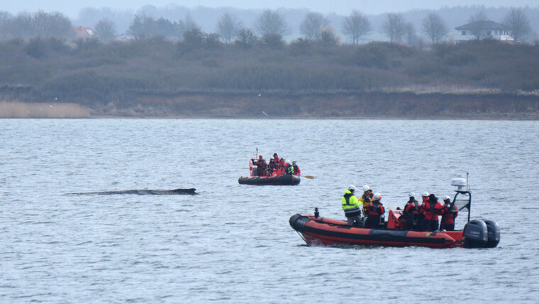 Keystone/dpa/Daniel Bockwoldt 20260329123538379.jpg